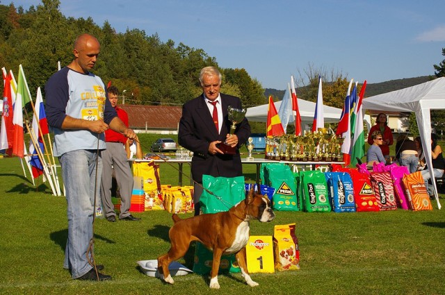 www.boxer-show.eu